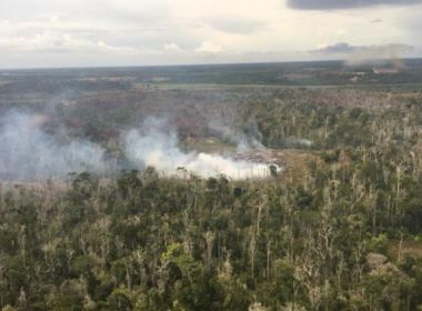 Casos de incêndios em vegetação dobram nos dois primeiros meses do ano na Bahia